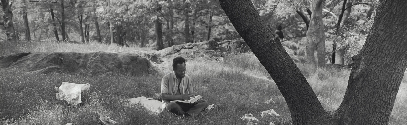 Tod Papageorge. Central Park. 1989. Gelatin silver print, 15 5/16 × 22 13/16&#34; (38.9 x 57.9 cm). The Museum of Modern Art, New York. The Gayle Greenhill Collection. © 2025 Tod Papageorge