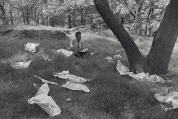Tod Papageorge. Central Park. 1989. Gelatin silver print, 15 5/16 × 22 13/16" (38.9 x 57.9 cm). The Museum of Modern Art, New York. The Gayle Greenhill Collection. © 2025 Tod Papageorge