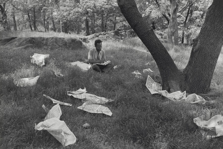 Tod Papageorge. Central Park. 1989. Gelatin silver print, 15 5/16 × 22 13/16&#34; (38.9 x 57.9 cm). The Museum of Modern Art, New York. The Gayle Greenhill Collection. © 2025 Tod Papageorge