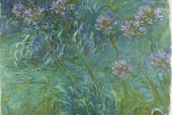 Friday Night Talks: Claude Monet’s Agapanthus