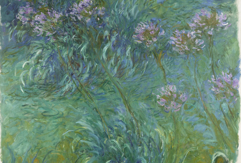 Claude Monet. Agapanthus. 1914–26. Oil on canvas. The Museum of Modern Art, New York. Gift of Sylvia Slifka in memory of Joseph Slifka