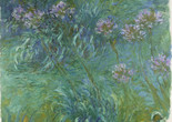 Claude Monet. Agapanthus. 1914–26. Oil on canvas. The Museum of Modern Art, New York. Gift of Sylvia Slifka in memory of Joseph Slifka