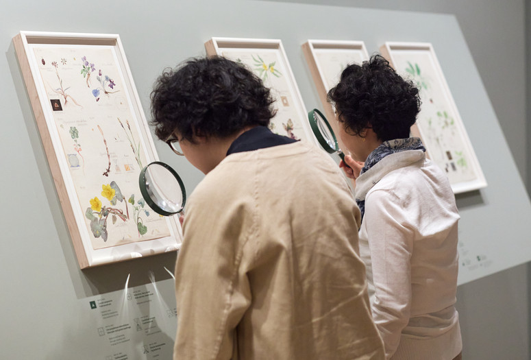 Image: Installation view of Hilma af Klint: What Stands Behind the Flowers, The Museum of Modern Art, New York, May 11–September 27, 2025. Photo: Alycia Kravitz