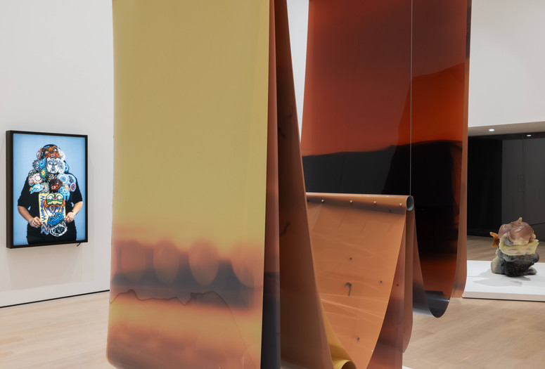 Installation view of Gallery 212: What Is Parasite and What Is Kin?, June 6, 2025–ongoing. Photographed in June 2025. The Museum of Modern Art, New York. Photo: Jonathan Dorado. Digital image © 2025 The Museum of Modern Art, New York