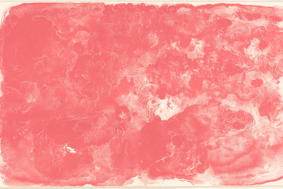 Artist Talk: Diedrick Brackens and Mika Tajima on Ruth Asawa