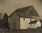 Bucks County Barn with Chickens