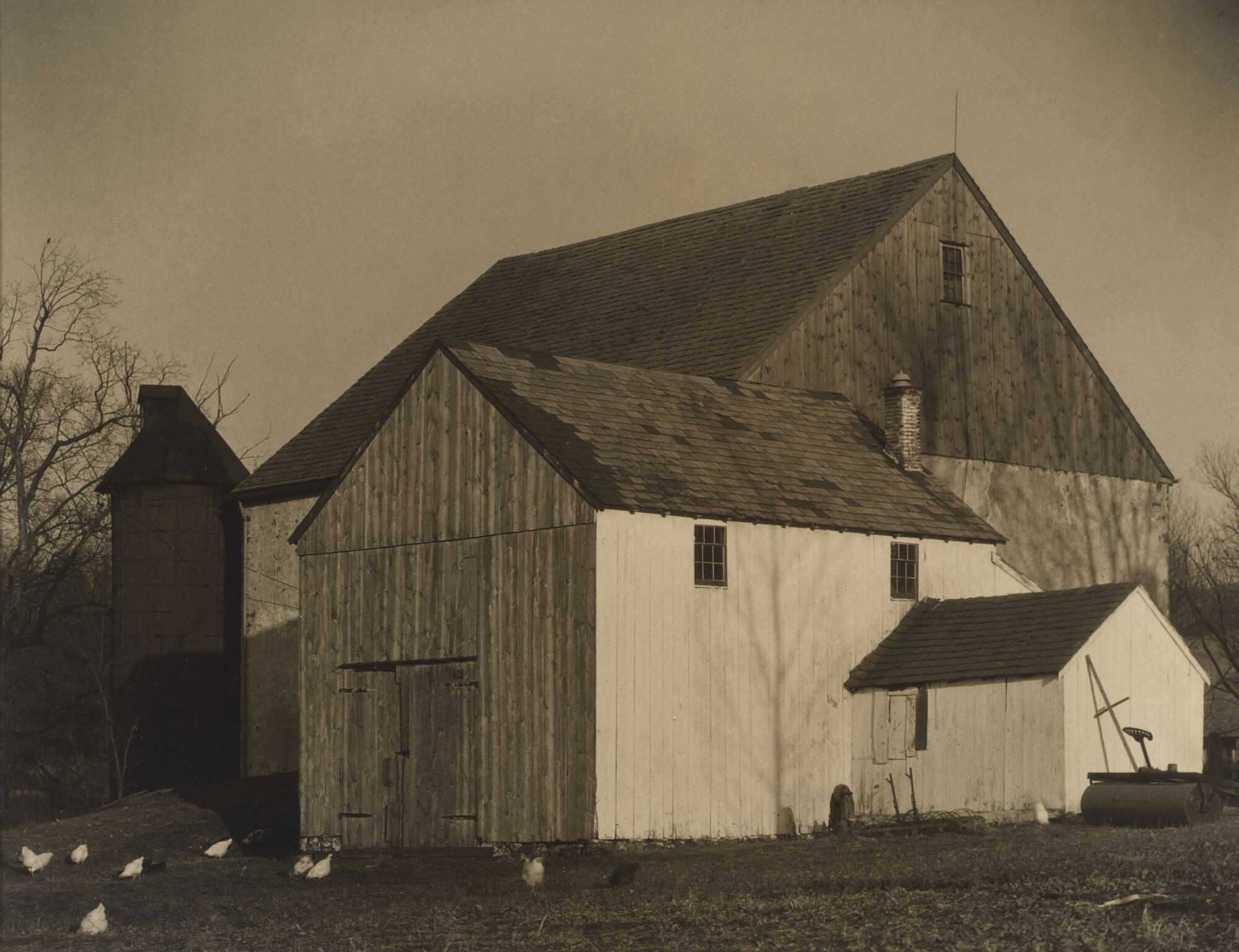 *Bucks County Barn with Chickens*