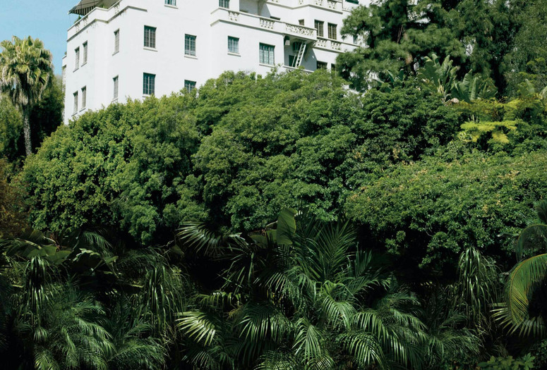 Somewhere. 2010. USA. 2003. USA. Written and directed by Sofia Coppola. Courtesy of Photofest