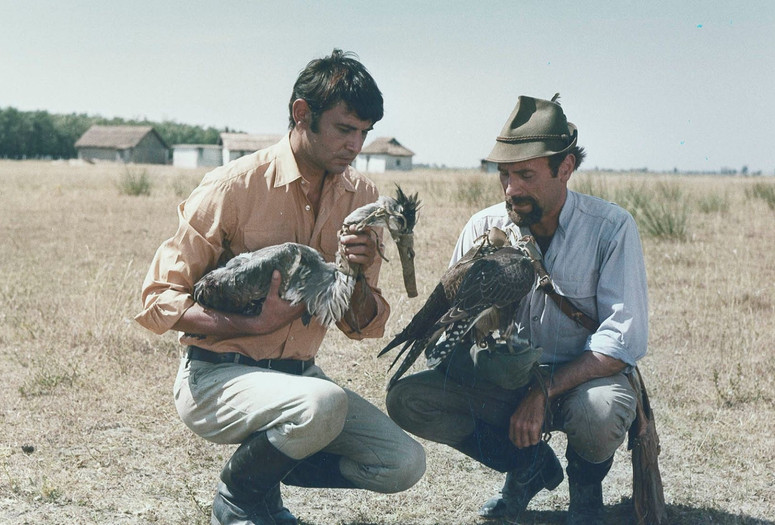 Magasiskola (The Falcons). 1970. Hungary. Directed by István Gaál. Courtesy National Film Institute of Hungary