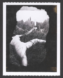 163 Polaroids and color photographs of Étant donnés in Marcel Duchamp's Fourteenth Street Studio. 1965. Forty-five of 164 Polaroids and color photographs, dimensions variable. Department of Library, Archives, and Visual Resources, Philadelphia Museum of Art