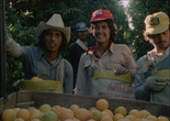 El Otro Lado. 1978. USA. Directed by Danny Lyon. Courtesy Rebecca Lyon.