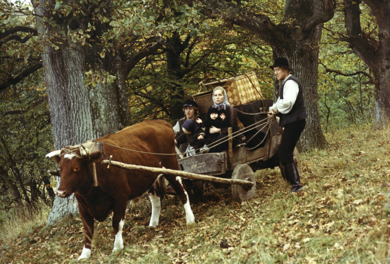 Nybyggarna (The New Land). 1972. Sweden. Directed by Jan Troell. Courtesy Swedish Film Institute
