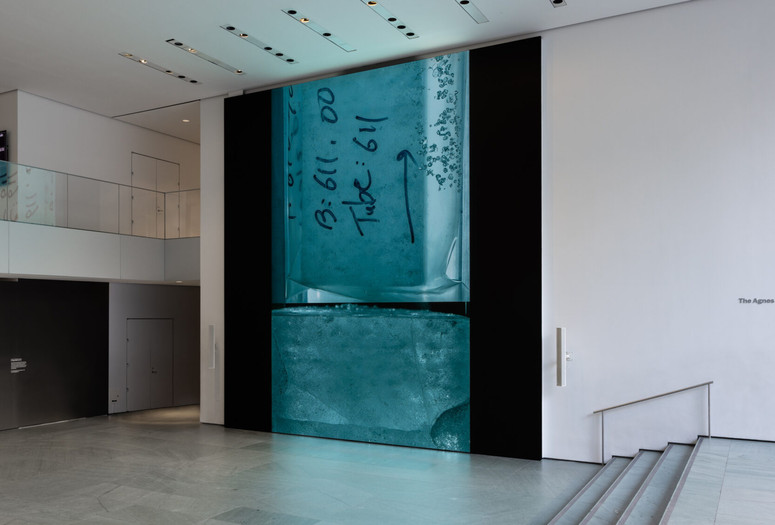 Installation view of Peggy Weil: Core Memory, The Museum of Modern Art, New York, March 7–October 4, 2026. Photo: Jonathan Dorado