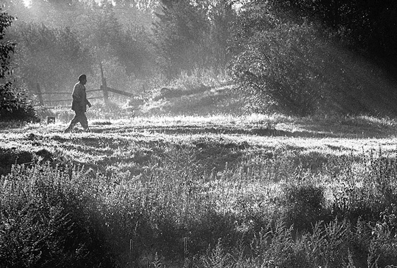 Settlement. 2001. Russia. Directed by Sergei Loznitsa. Courtesy Atoms &amp; Void