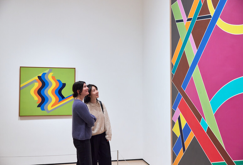 Installation view of Gallery 415: Hard Edges, Expanded Fields, The Museum of Modern Art, New York, ongoing. Photo: Alycia Kravitz