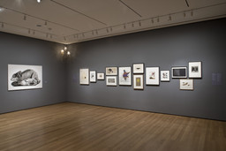 Installation photo, 15 of 20