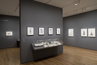 Wunderkammer: A Century of Curiosities. Jul 30–Nov 10, 2008.