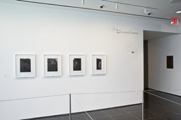Installation photo, 20 of 20