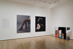 Installation photo, 9 of 15