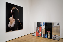 Installation photo, 10 of 15