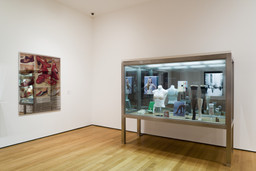 Installation photo, 12 of 15