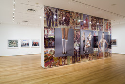 Installation photo, 13 of 15