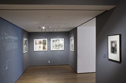 Installation photo, 4 of 20