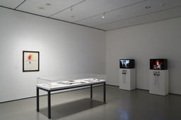 Installation photo, 7 of 8