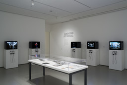 Installation photo, 8 of 8