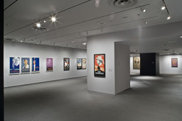 Installation photo, 18 of 19