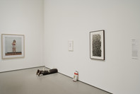 Here Is Every. Four Decades of Contemporary Art. Sep 10, 2008–Mar 23, 2009. 4 other works identified