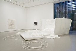 Installation photo, 35 of 40