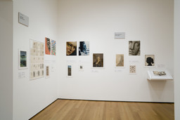 Installation photo, 6 of 22