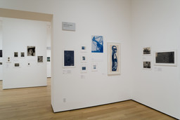 Installation photo, 10 of 22