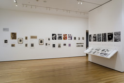 Installation photo, 15 of 22