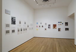 Installation photo, 18 of 22