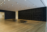 Focus: Sol LeWitt. Dec 5, 2008–Jun 1, 2009.