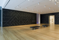 Focus: Sol LeWitt. Dec 5, 2008–Jun 1, 2009.