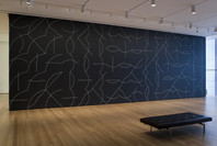 Focus: Sol LeWitt. Dec 5, 2008–Jun 1, 2009.