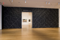 Focus: Sol LeWitt. Dec 5, 2008–Jun 1, 2009. 1 other work identified