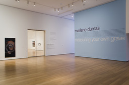 Installation photo, 1 of 53