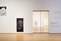 Marlene Dumas: Measuring Your Own Grave. Dec 14, 2008–Feb 16, 2009.