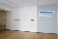 The Printed Picture. Oct 17, 2008–Jul 13, 2009.