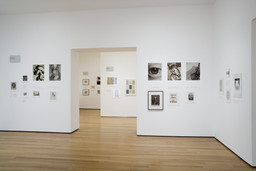 Installation photo, 3 of 22