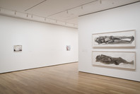 Marlene Dumas: Measuring Your Own Grave. Dec 14, 2008–Feb 16, 2009.