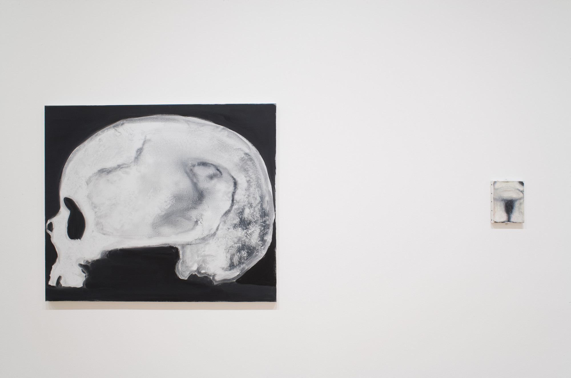 Installation view of the exhibition 