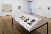 Marlene Dumas: Measuring Your Own Grave. Dec 14, 2008–Feb 16, 2009. 2 other works identified