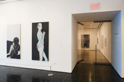 Installation photo, 50 of 53