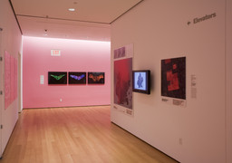 Installation photo, 13 of 18