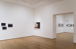 Installation photo, 9 of 17